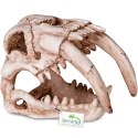 Terrario Terrario Sabertooth Skull - czaszka tygrysa do terrarium 13x8,5x11 cm
