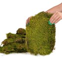 Terrario Terrario Shadow Forest Moss - mech naturalny 35x28cm