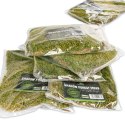 Terrario Terrario Shadow Forest Moss - mech naturalny 35x28cm