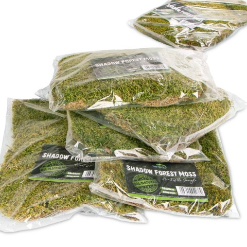 Terrario Terrario Shadow Forest Moss - mech naturalny 35x28cm
