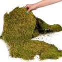 Terrario Terrario Shadow Forest Moss - mech naturalny 35x28cm