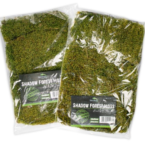 Terrario Terrario Shadow Forest Moss - mech naturalny 35x28cm