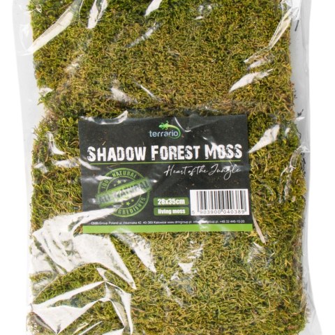 Terrario Terrario Shadow Forest Moss - mech naturalny 35x28cm