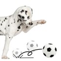 Aqua Nova Pet Nova zabawka gumowa - piłka futbolowa 7cm