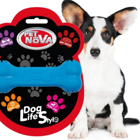 Pet Nova zabawka - kość na przysmaki z aromatem wołowiny niebieska 11cm Aqua Nova