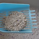 Hilton Cat Litter White Soap 5l - żwirek biały bentonitowy o zapachu mydła HILTON