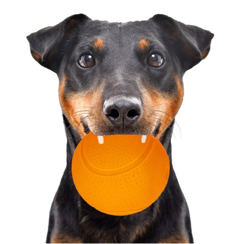 HappyPet Glow Balls - piszcząca piłka Happypet