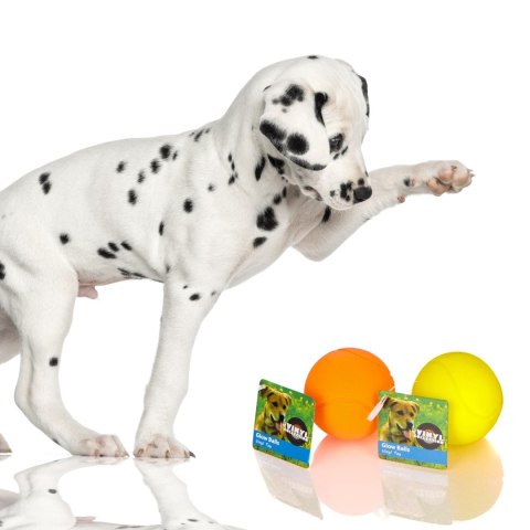 HappyPet Glow Balls - piszcząca piłka Happypet