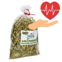 Alegia - koniczyna suszona 100g Alegia