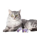 Comfy Appetit Premium Mousse Sterilized Przepiórka 85g - Karma dla kota Aquael