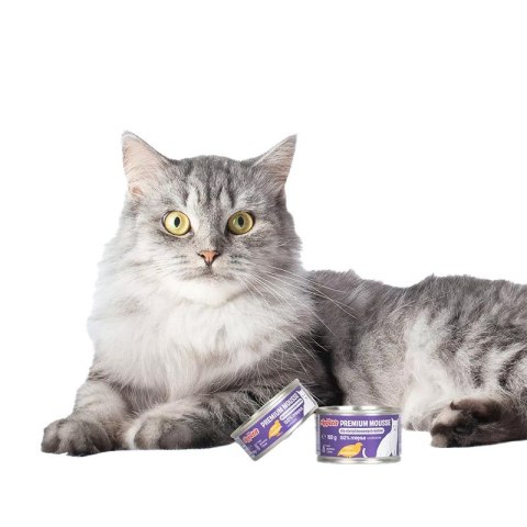 Comfy Appetit Premium Mousse Sterilized Przepiórka 85g - Karma dla kota Aquael