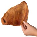 Dogario Bonni Pig's Ear L - duże wieprzowe ucho gryzak dla psa x10 Dogario