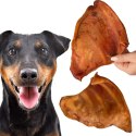 Dogario Bonni Pig's Ear L - duże wieprzowe ucho gryzak dla psa x10 Dogario