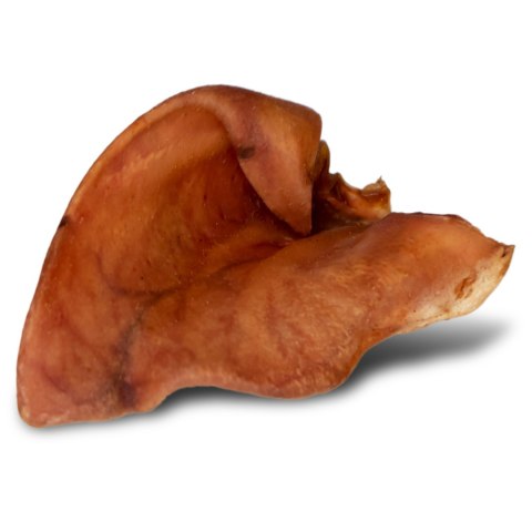 Dogario Bonni Pig's Ear L - duże wieprzowe ucho oferta hurtowa x50 Dogario