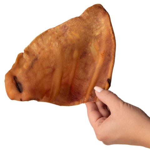Dogario Bonni Pig's Ear L - duże wieprzowe ucho oferta hurtowa x50 Dogario