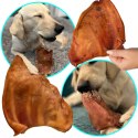 Dogario Bonni Pig's Ear L - duże wieprzowe ucho oferta hurtowa x50 Dogario