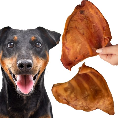 Dogario Bonni Pig's Ear L - duże wieprzowe ucho oferta hurtowa x50 Dogario
