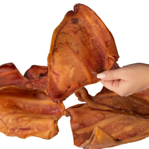 Dogario Bonni Pig's Ear L - duże wieprzowe ucho oferta hurtowa x50 Dogario