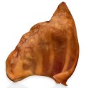 Dogario Bonni Pig's Ear L - duże wieprzowe ucho oferta hurtowa x50 Dogario
