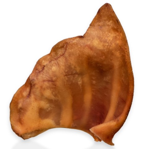 Dogario Bonni Pig's Ear L - duże wieprzowe ucho oferta hurtowa x50 Dogario