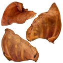 Dogario Bonni Pig's Ear L - duże wieprzowe ucho oferta hurtowa x50 Dogario