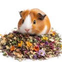 Herbal Pets - Zioła Uzupełniające dla Świnki Morskiej 100g Herbal Pets