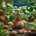 Kruger Meier ProNature Ball 10 - kulki nawozowe z biostymulatorem Kruger Meier