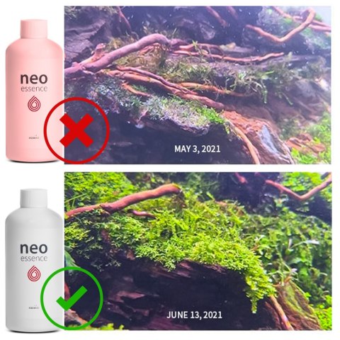 Neo Essence 300ml - wzrost i wybarwienie roślin NEO MEDIA