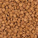 Voskes Kitten Chicken 7kg - karma dla kociąt Voskes